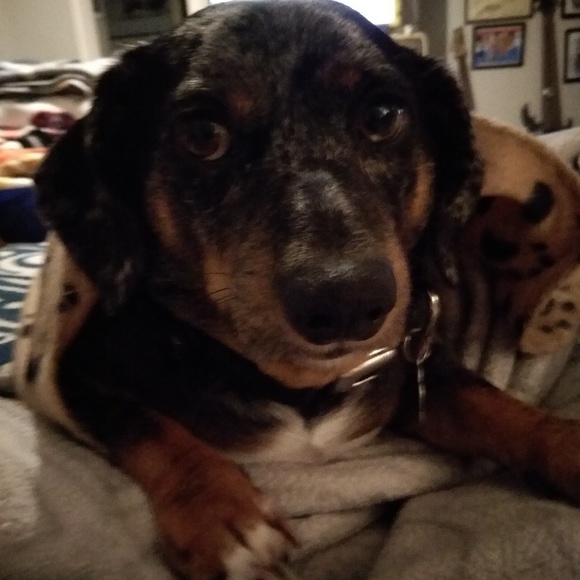 Meet your Posher, Cindy - Picture 1 of 1